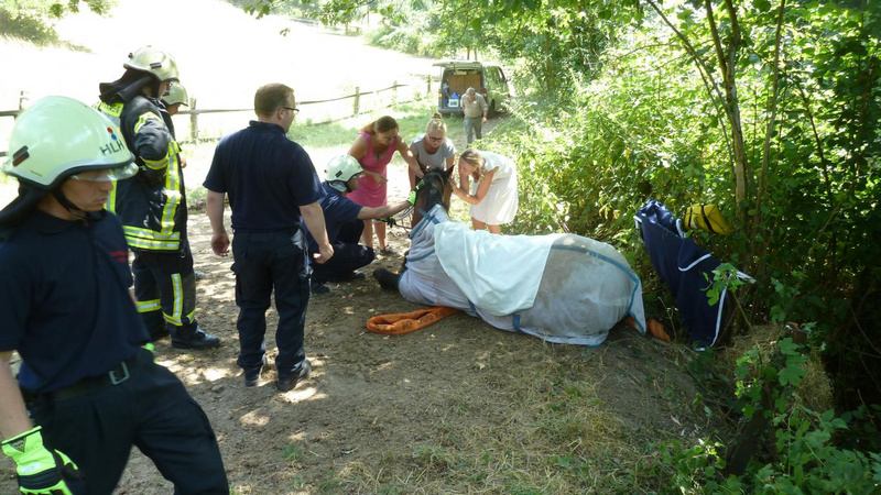 Heiligenhaus Pferd Unfall