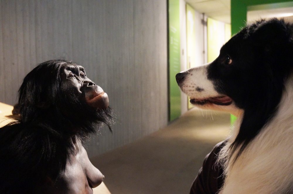 07_ME_Namo_DoggyDay Am Freitag, 1. März, findet im Neanderthal Museum der nächste