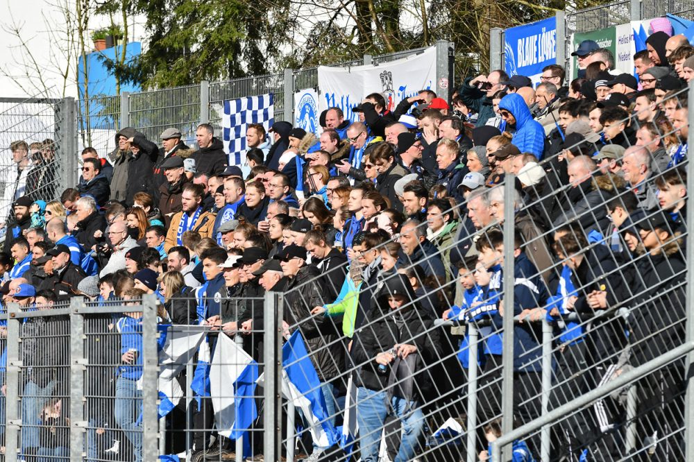 Stadion Sonnenblume