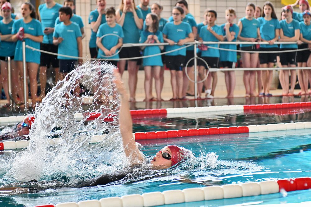 Schwimmen_Ware_Wuelfrath_Schwimmwettkampf In 24 Wettkämpfen sind die Schwimmer aus Wülfrath gegen die Gäste aus Ware angetreten. Foto: Mathias Kehren