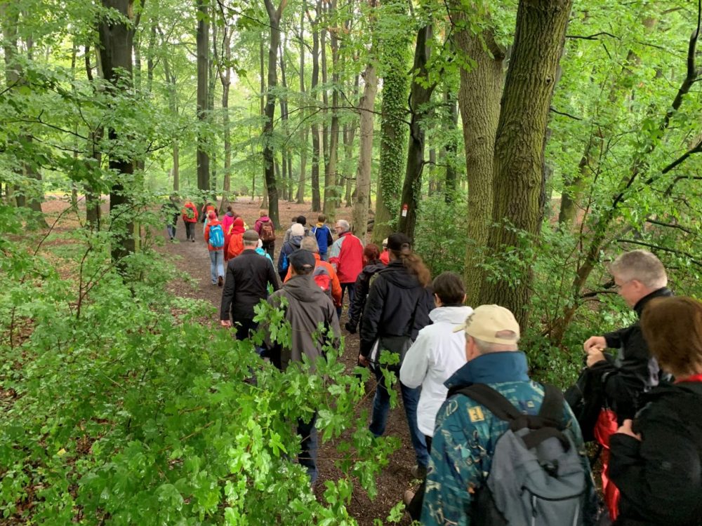 20_ME_Wanderwoche Auftakt Die 3. Neanderland-Wanderwoche ist erfolgreich gestartet: Rund 70 Wanderer nahmen an der Auftakt-Tour teil. Foto: Kreis ME