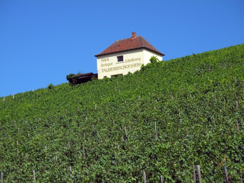 10 Weingut Tauberbischofsheim Der zweite Teil der Reise auf der
