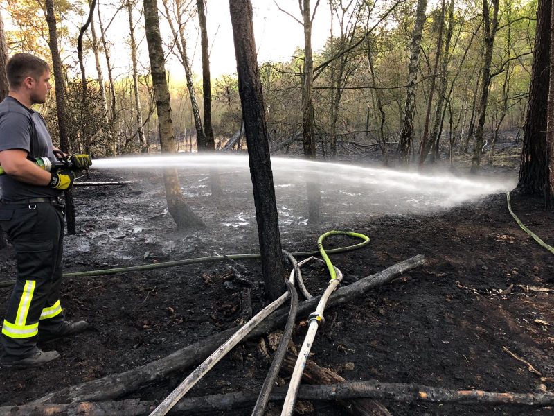 Überörtliche Hilfe durch die Feuerwehr Mettmann bei einem Waldbrand in Hilden Bei einem Waldbrand in Hilden waren Mettmanner Wehrleute bereits im Einsatz. Foto: Feuerwehr Mettmann