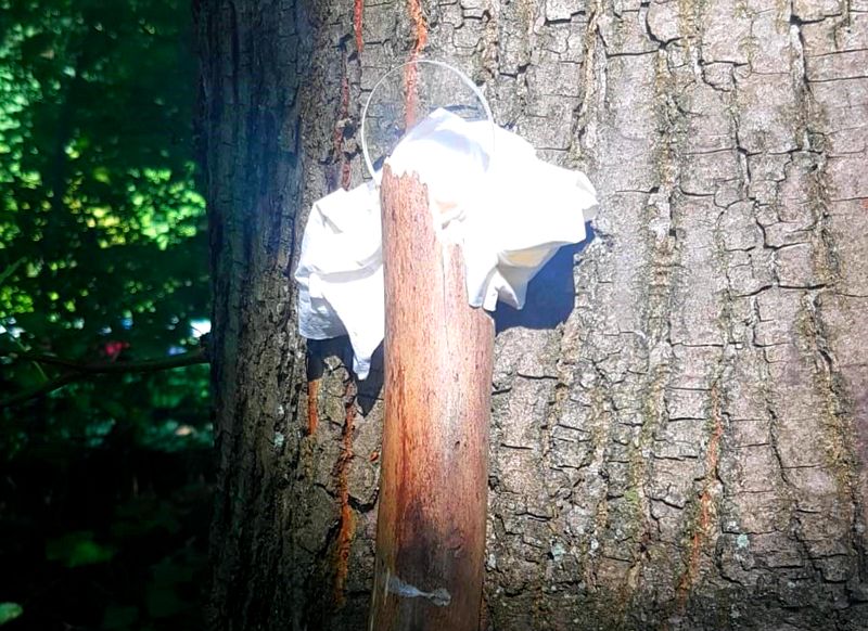 35_WUE_Brandfalle Diese an einem Baum befestigte Konstruktion hat eine Spaziergängerin entdeckt. Foto: Feuerwehr Wülfrath