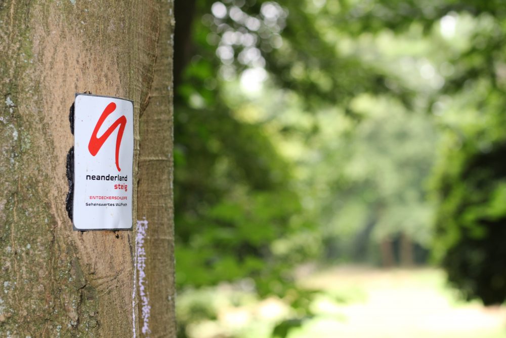 ME_Neandersteig_Wandern_Symbolbild Information für Wanderer: Ein Wanderweg zwischen Kirchendeller Weg und Leipziger Straße ist derzeit gesperrt. Foto: Symbolbild (André Volkmann)