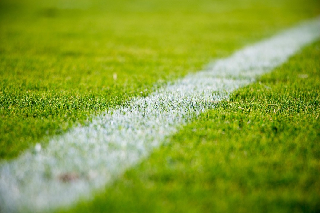 grass-2616911_1280 Am Sonntag war der Ayyildiz Remscheid zu Gast im Lhoist-Sportpark. Der FCW gewann mit 2:0. Foto: Symbolbild (pixabay)