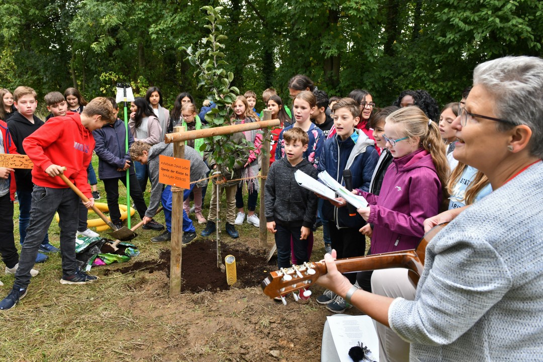Realschule_Heiligenhaus_Baumpflanzung_MK5_1145 Mit Gesang und frischem Mutterboden - an der Realschule Heiligenhaus wachsen nun vier frisch gepflanzte Obstbäume heran. Foto: Mathias Kehren