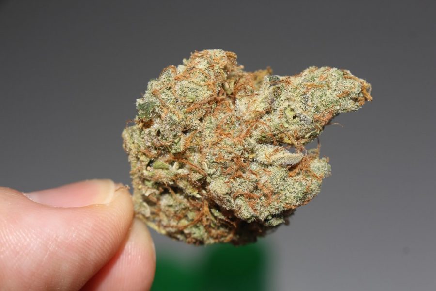 weed-2517248_1280 Cannabis om Fokus: Um Konsum und rechtliche Rahmenbedingungen geht es auf einem Info-Abend der Diakonie. Foto: Symbolbild (pixabay)